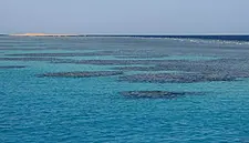 Hotel Occupancy Increased in Egypt's Red Sea Resorts Of Sharm el-Sheikh And Hurghada During First Six Months Of 2021, Says Tourism Official