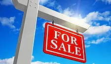 Potential Guesthouse In Newtown Donore, Co. Kildare, Hits The Market