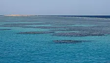 Saudi Arabia's Red Sea Tourism Project To Raise Up To $2.67bn 'Green' Loan Next Year