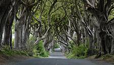 The Hedges Hotel Of Co. Antrim Hits The Market