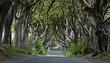 The Hedges Hotel Of Co. Antrim Hits The Market