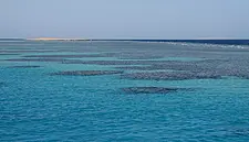 DAA International Signs Contact To Operate New Airport At Saudi Arabia's Red Sea Project