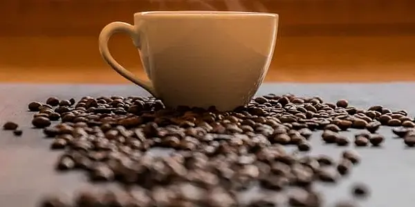 Arabica Coffee Prices Hit Record High