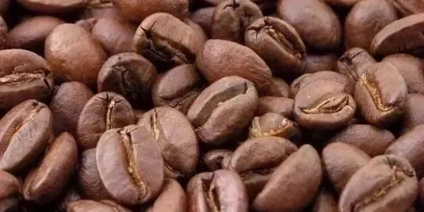 Brazil Robusta Coffee Harvest Picks Up, Crop Seen Positively