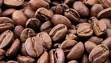Brazil's 2023/24 Coffee Crop Will Grow Only Modestly, Says Taka Insights
