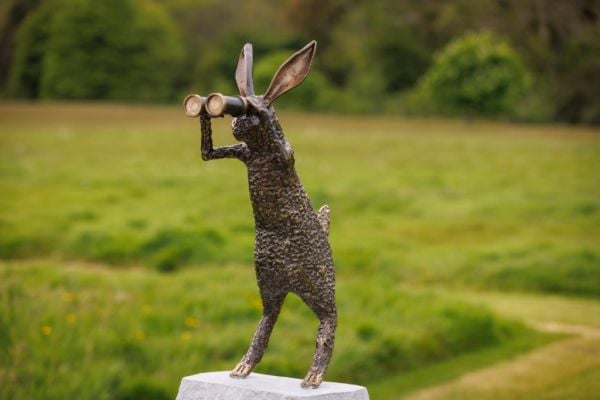 Ballymaloe House Hosts Open-Air Sculpture Exhibition