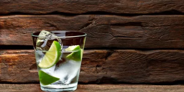 New Strategy Sets Out Plans To Continue To Grow Gin Category By 2026