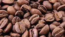 International Coffee Organization Elects Vanusia Nogueira As Head