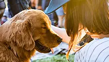 Dog-Friendly Festival To Take Place At Dublin’s Malahide Castle