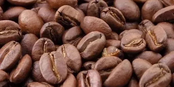 Uganda Coffee Exports Plunged 20% In February As Drought Cut Yields