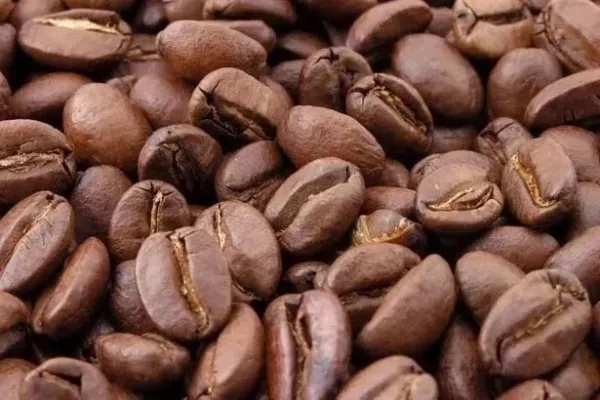 Uganda Coffee Exports Plunged 20% In February As Drought Cut Yields