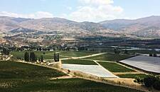 Half of US Wineries Might Be Sold in the Next Five Years