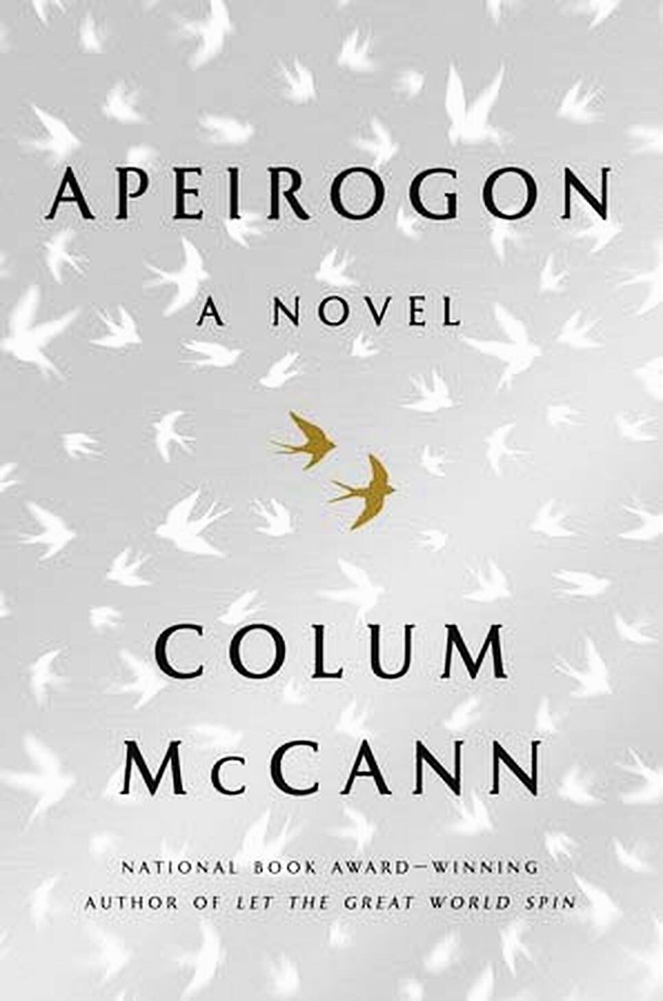 Book Review: Apeirogon by Colum McCann | Hotpress