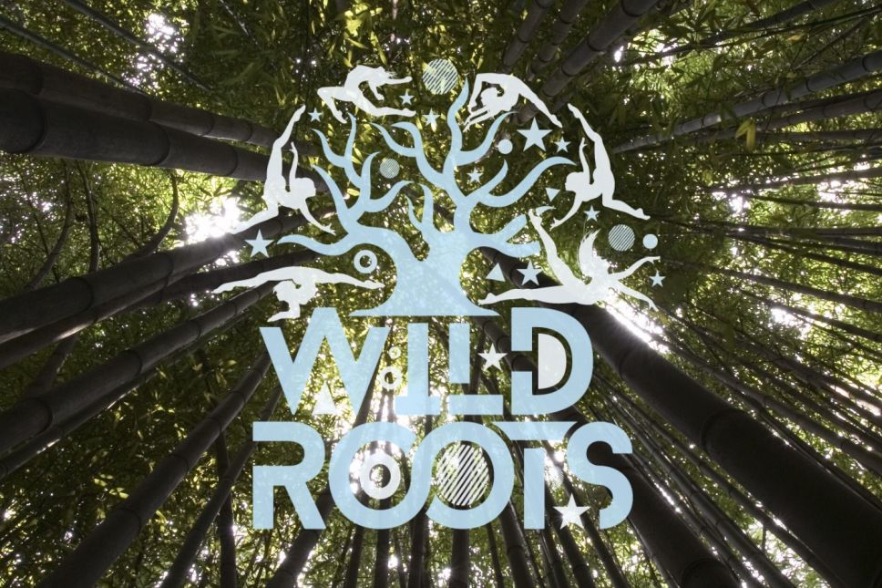 Wild Roots Festival postponed until June 2022 Hotpress