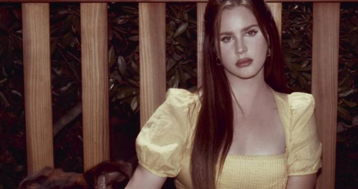 Lana Del Rey Gets Temporary Restraining Order Against Alleged Stalker