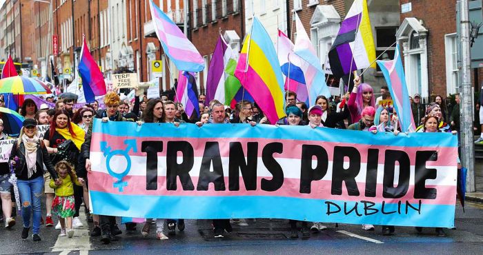 Trans & Intersex Pride Dublin