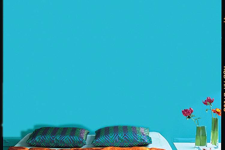 We diagnose your paint personality: The fun lover