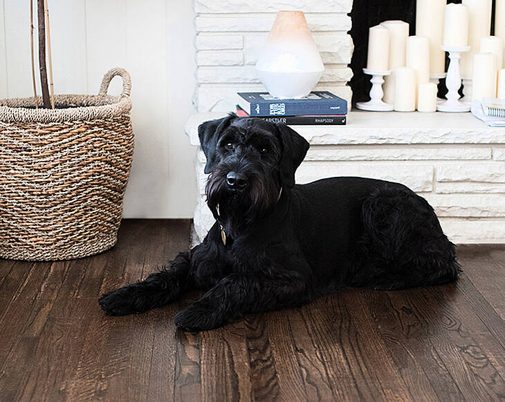 How to clean hardwood floors without destroying them