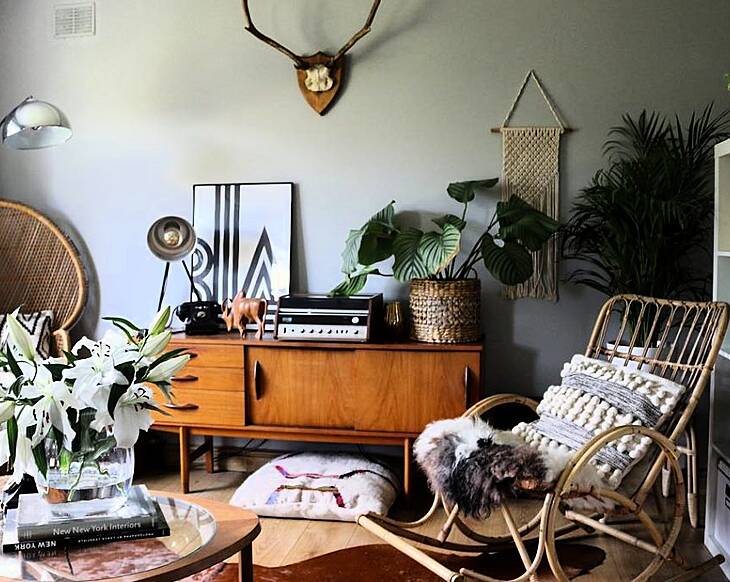The 7 trendy houseplants you're seeing ALL OVER your Instagram feed