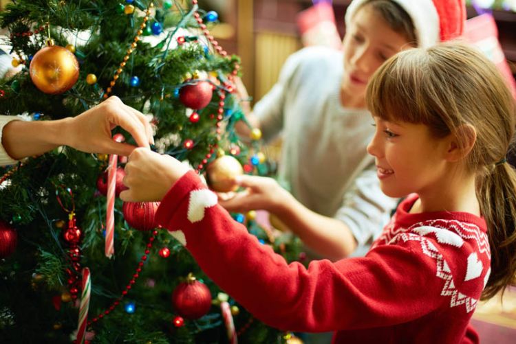 When do you put up your Christmas tree? Readers tell all!