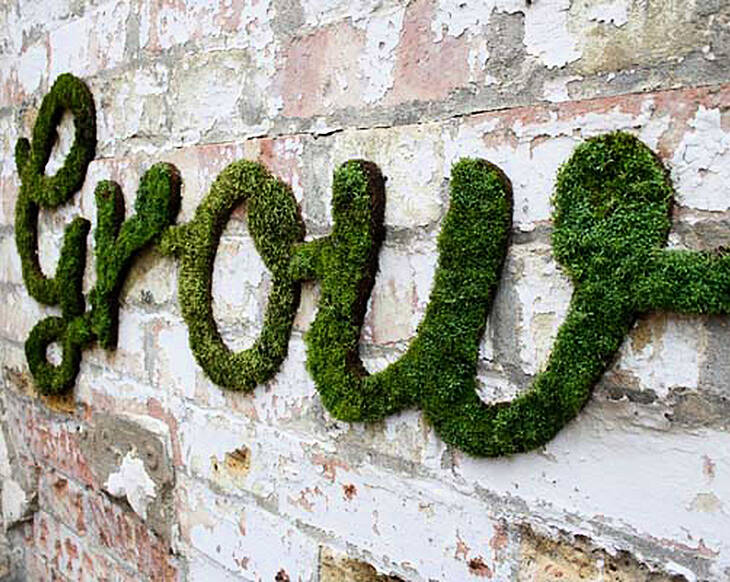 How to make moss wall art