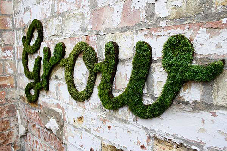 How to make moss wall art