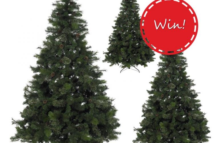 WIN! A Christmas tree from B&Q