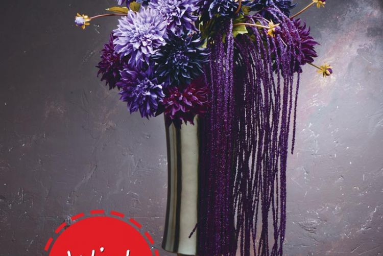 Win €100 worth of Sia silk flowers from La Maison Chic