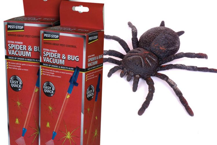 Suck it up: the Procter Pest-Stop Spider and Bug Vacuum is our autumn friend