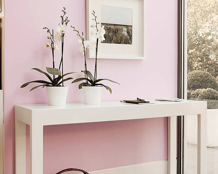 Your paint personality: the romantic