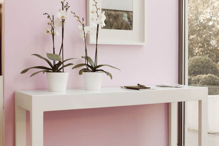 Your paint personality: the romantic