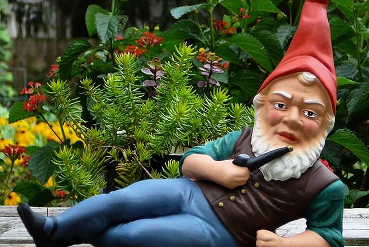 Fun facts: 10 things you need to know about garden gnomes