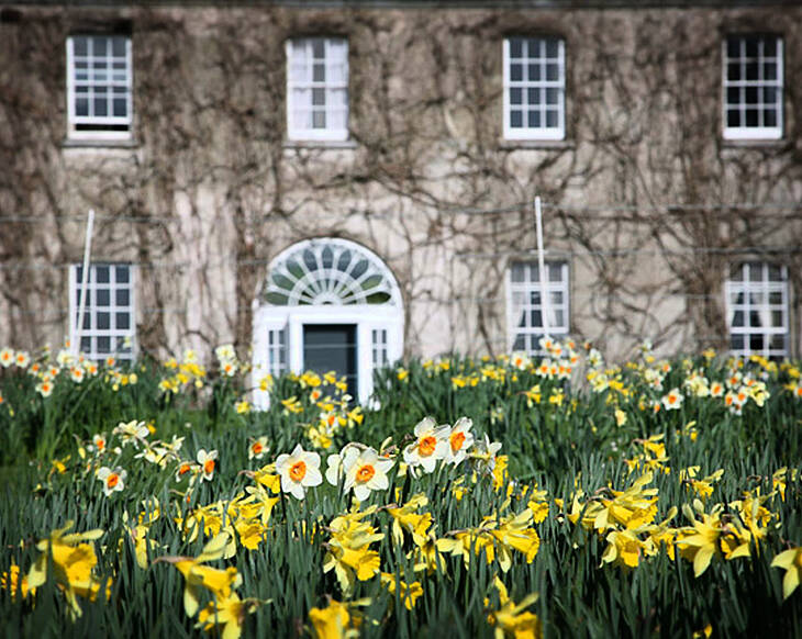 Love vintage? Start planning your trip to east Cork now