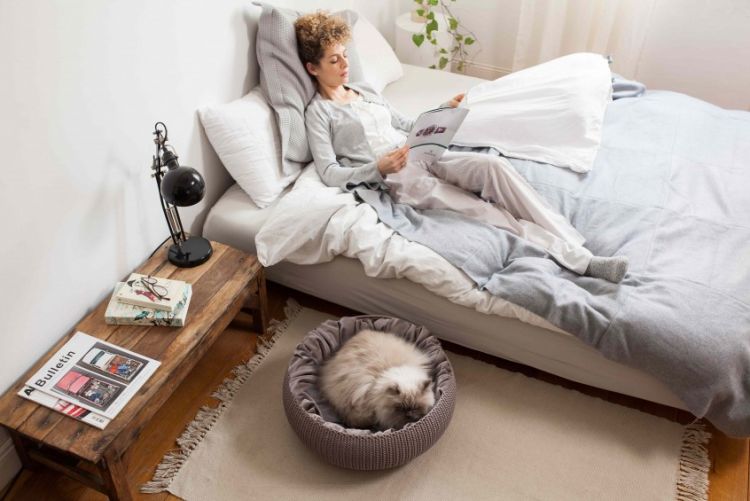 10 awesome pet-related accessories that won't ruin your interior style