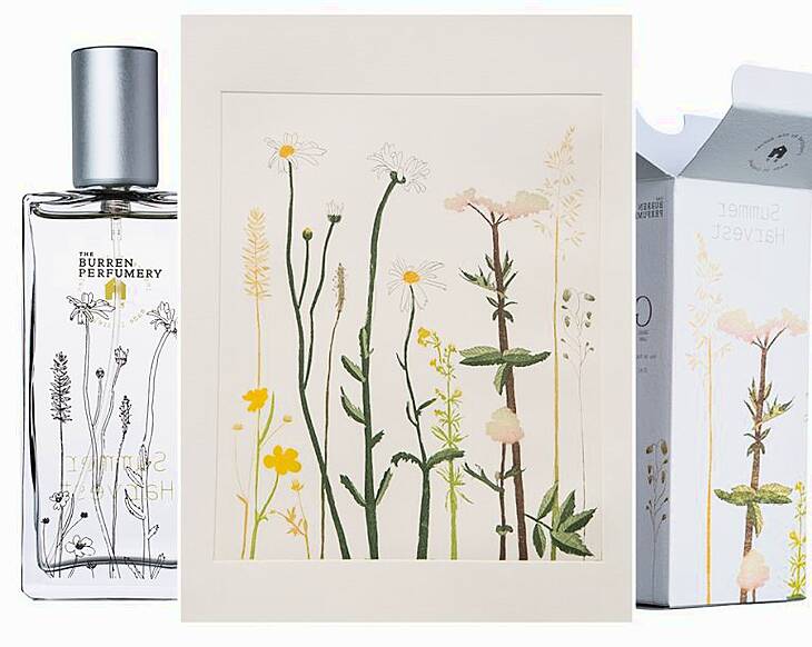Art of Perfume: You'll want this Burren inspired art, created for The Burren Perfumery, for your home