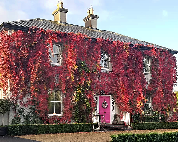 #InteriorInfluence19: 24 Irish Instagrammers with beautiful period homes