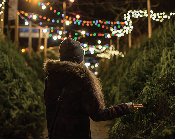 Everything you need to know about buying an ethical Christmas tree