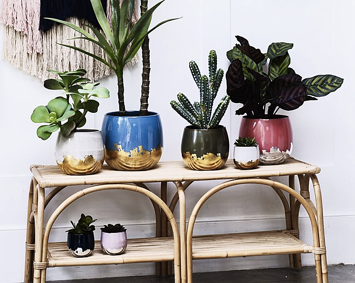 Oliver Bonas is opening in Dublin - tomorrow!
