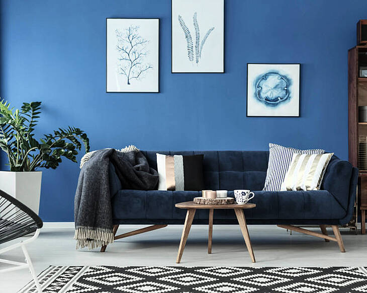 How to use colour to make your home happier, according to Albany Home Decor