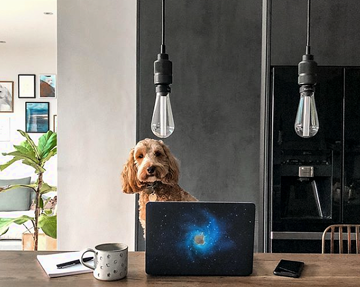 INTERIOR DESIGN MISTAKES - here's how to avoid a decorating disaster in lockdown