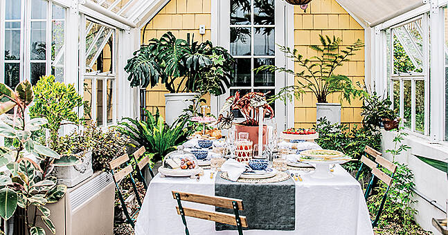 How to…bring your indoor plants outside | HouseAndHome.ie