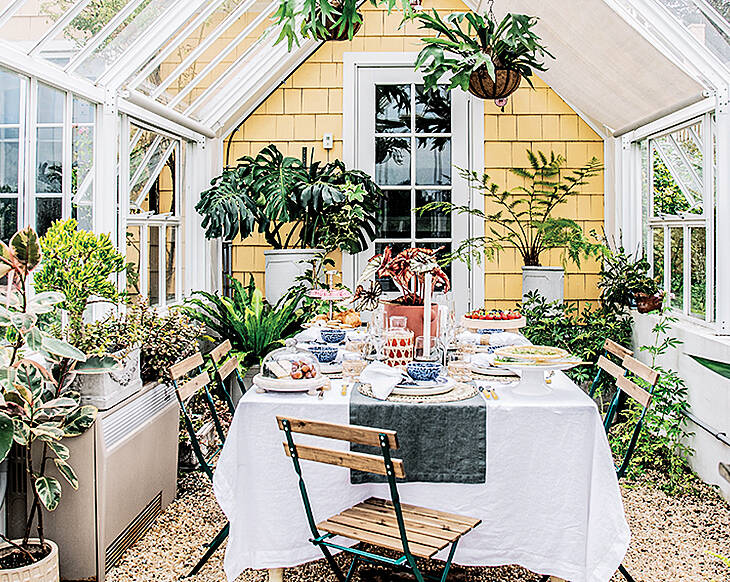How to…bring your indoor plants outside