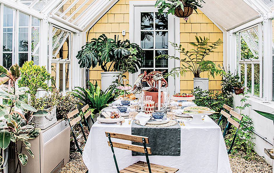How to…bring your indoor plants outside