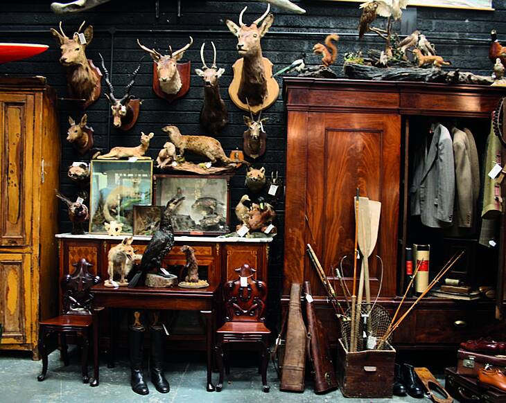 How to salvage: Seasoned salvage hunter Liz Dwyer gives her top tips