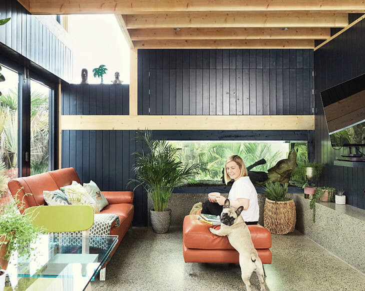 Palm Springs: Suzie and Marc had a Jurassic lark renovating their Dublin home