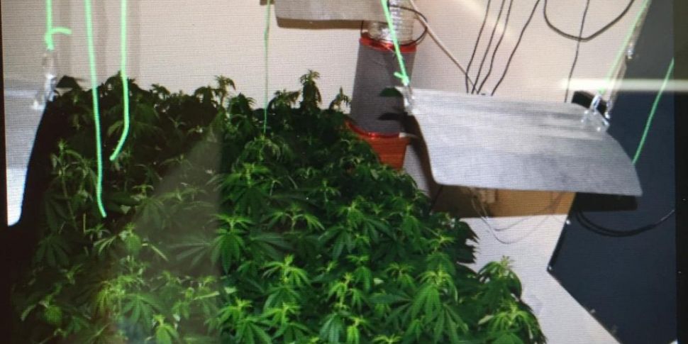 Cannabis Grow House Found In D...