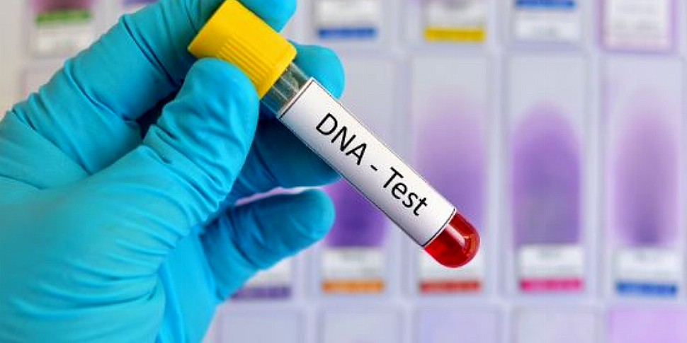 Couple decide to take DNA test...