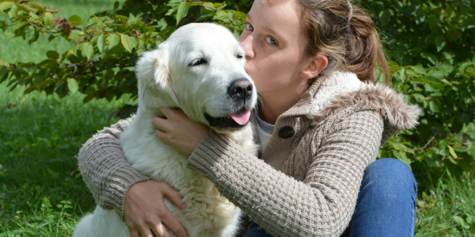 Almost half of pet owners let...