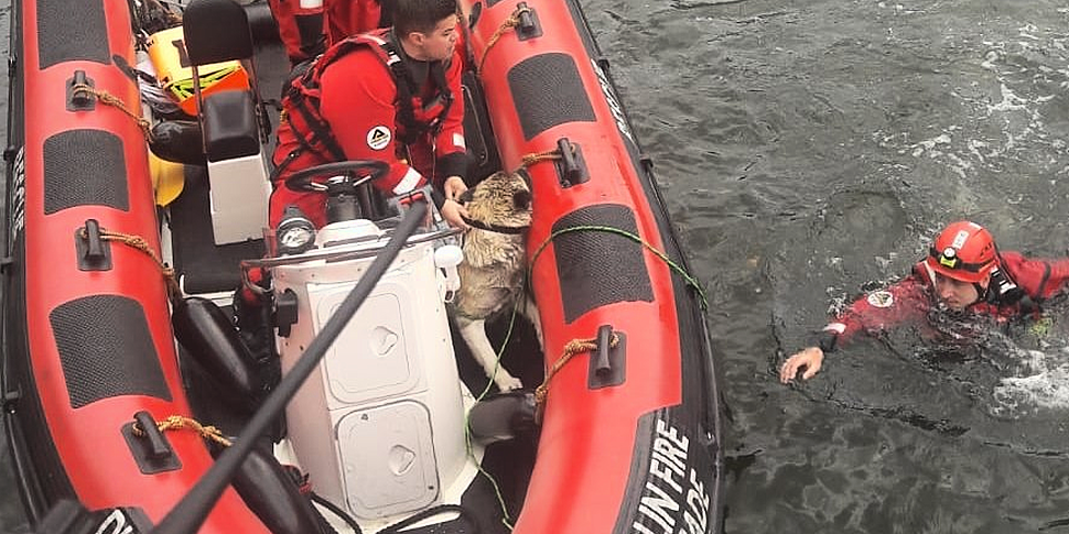 Two people jump in Dublin rive...