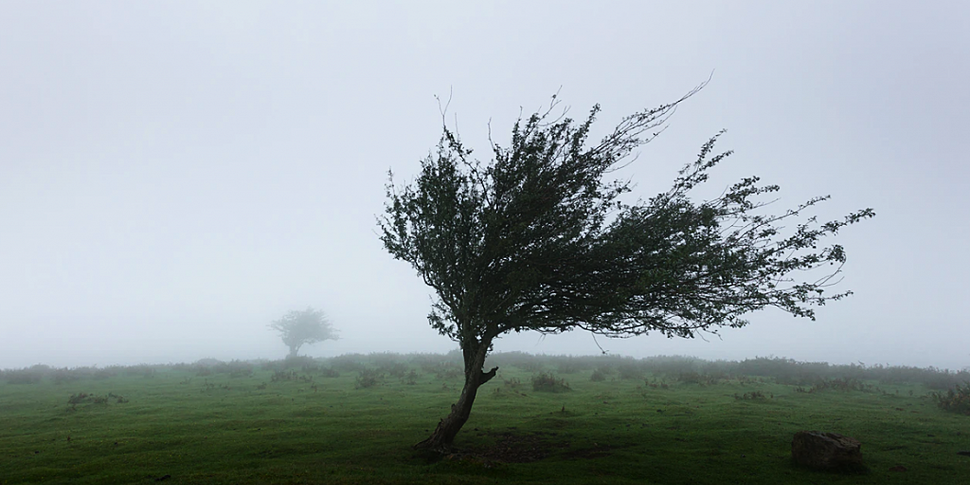 A wind warning is in place tod...